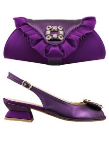 Elegant Matching Shoes & Bag